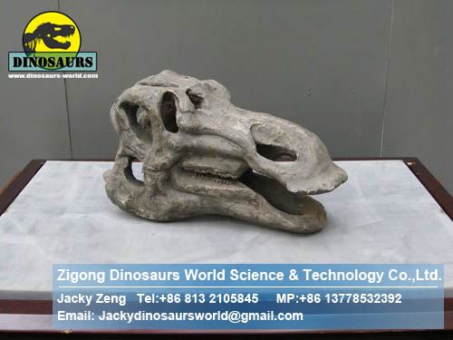 Dinosaurs skull skeleton replica ( Hadrosaur Head ) DWF003