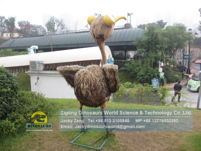 Cartoon ostrich model different forms DWC050