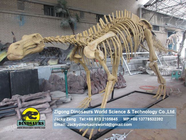 Science education model Simulation Hadrosaurs Skeleton Replica DWS019-2