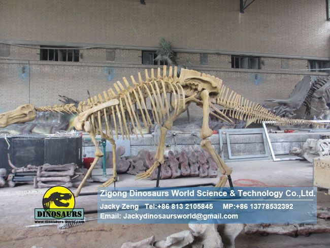 Science education model Simulation Hadrosaurs Skeleton Replica DWS019-2