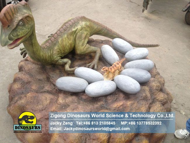 School science education equipment Oviraptor replica DWD202-1