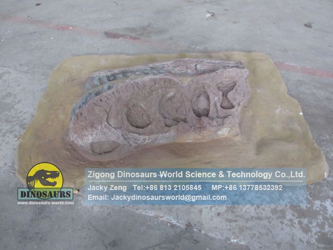 Children simulated archaeological dig site,t-rex skull buried status DWF013-1