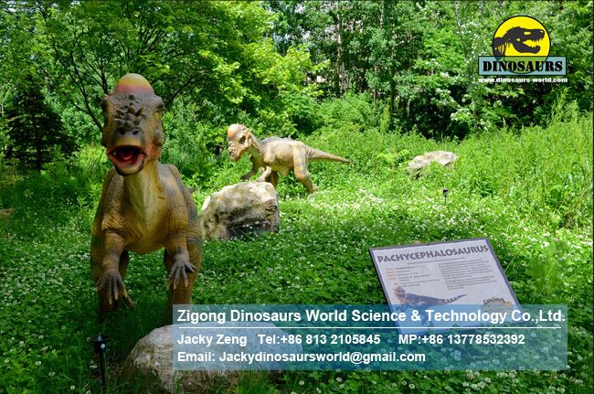 Jurassic world electric dinosaur model Pachycephalosaur( Two youngers running after ) DWE1479