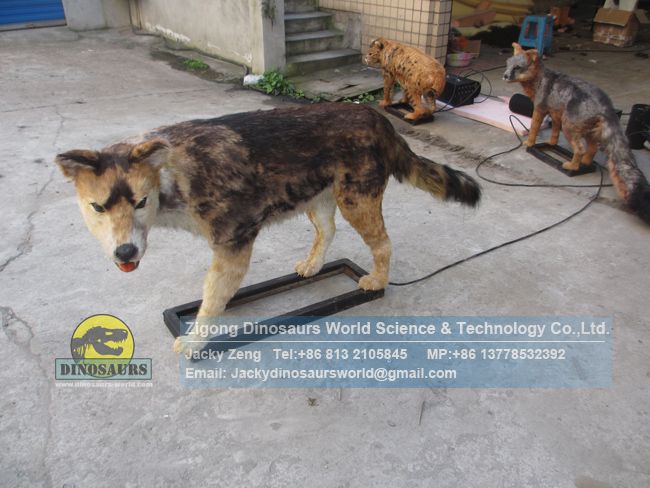 High simulation animatronics actual size Mexican wolf DWA152