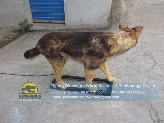 High simulation animatronics actual size Mexican wolf DWA152