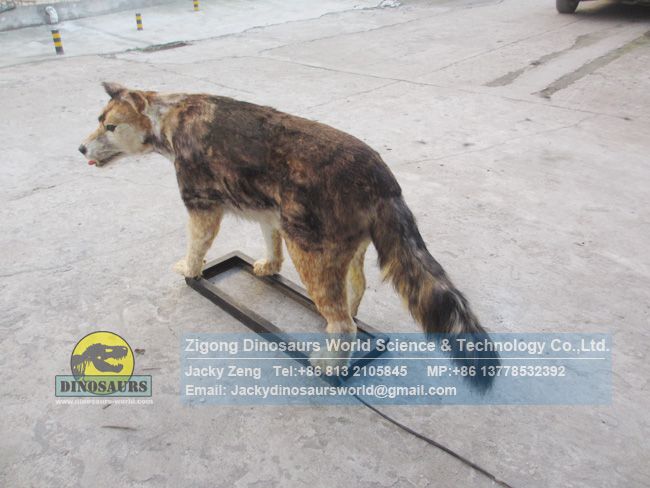 High simulation animatronics actual size Mexican wolf DWA152