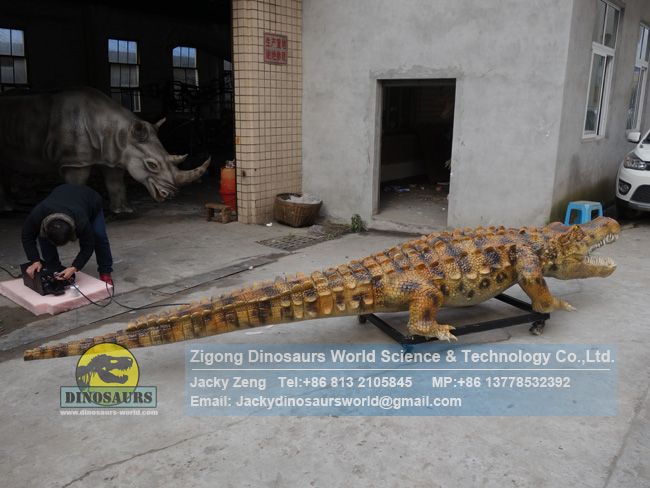 Zoo park custom high simulation animatronics crocodile DWA153