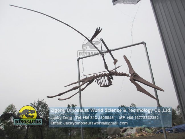 Custom museum exhibition pterosaur complete skeleton replica DWS036