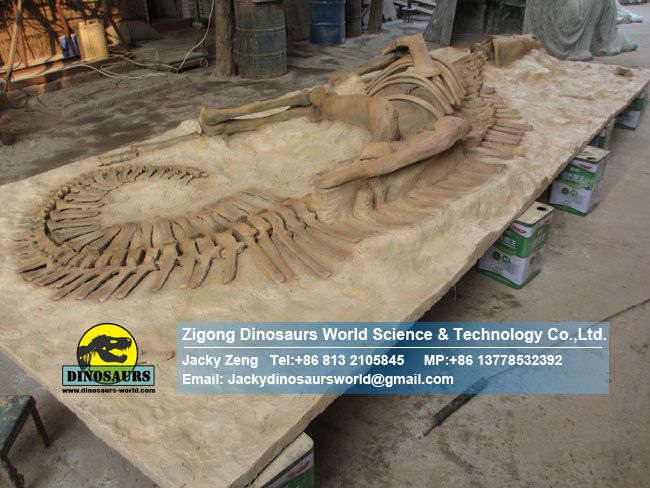 Complete hadrosaur fossil reproductions burial Situation DWF016