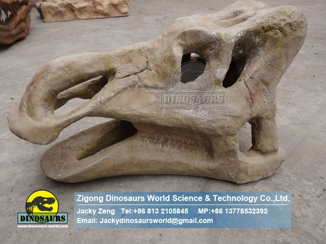 Large artificial dinosaur model Manufacturer Hadrosaurus Skull ZD08