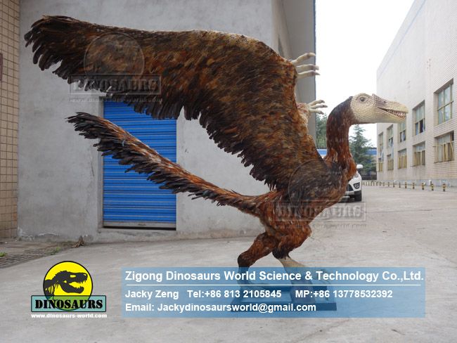 Artificial dinosaur late jurassic archaeopteryx model DWD5225