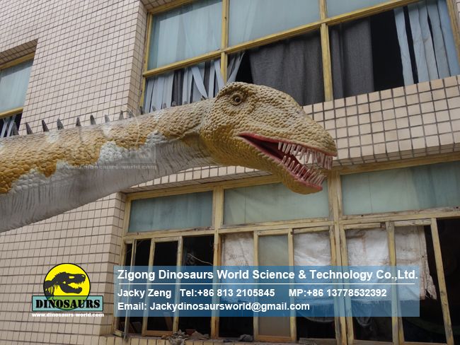 High-quality Large Dinosaur Model Diplodocus DWD239