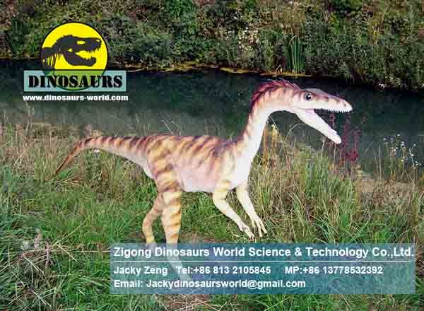 Animatronic Dinosaurs exhibition show ( Coelophysis ) DWD011