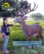 Park decoration life size fiberglass deer Artificial Deer DWA096 