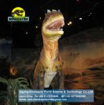 Children Playground Amusement park Artificial Dinosaur (Allosaurus) DWD077