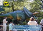 Dinopark Fiberglass products Animatronic Dinosaur Triceratops DWD082