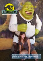 Cartoon character Shrek DWC020