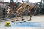Museum exhibition equipment hadrosaur  skeleton DWS019-1