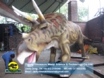 Children's science education model Animatronics Triceratops DWD038-3