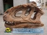 Large artificial dinosaur fossils yangchuanosaurus skull replicas ZD09