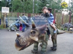 Buy Jurassic Forest Kids Dinosaur Triceratops Ride DWW001