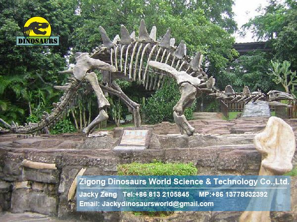Dinosaur skeleton replica art toys Stegosaur Skeleton DWS004