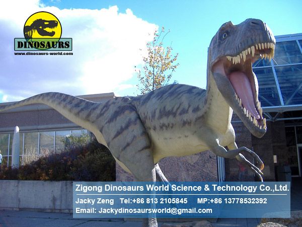 Best dinosaurs factory showroom dinopark dinosaurs ( Albertosaurus ) DWD026