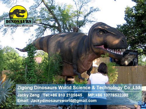 Outdoor amusement park life size dinosaurs (T-Rex) DWD073