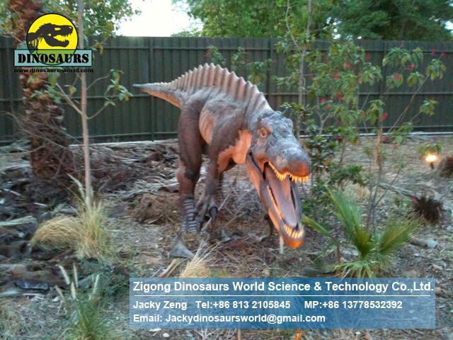 Playground Hall products life size animals dinosaurs (Acrocanthosaurus) DW089