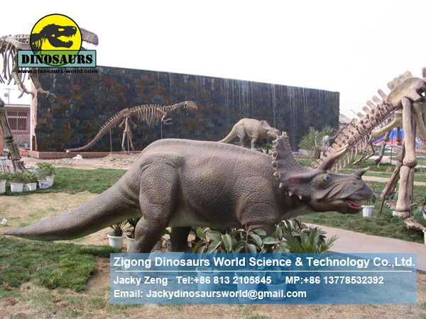 Game machine growing toy animatronic dinosaur (Triceratops) DWD100