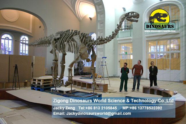 Buried discovery science dinosaurs skeleton Shunosaurus DWS018