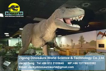 Amusement park animatronic dinosaurs robot ( Tyrannosaurus rex) DWD120