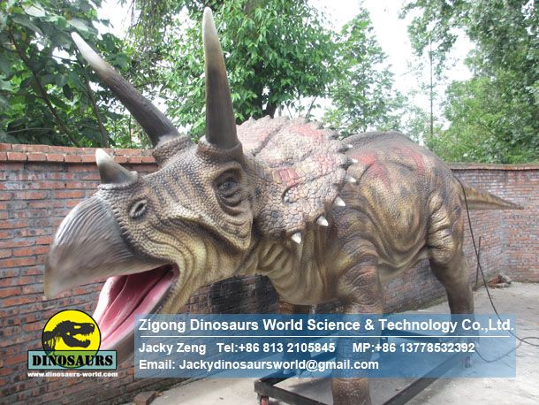 Life Size Dinosaur Replica( Triceratops ) DWD038-2