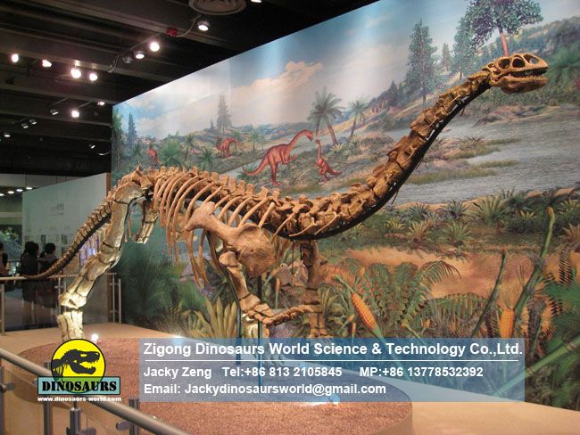 Exhibition hall museum skeleton Lufengosaurus DWS007
