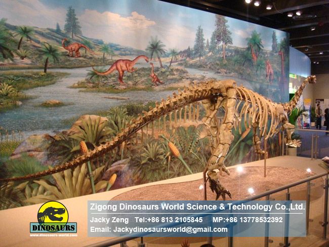 Exhibition hall museum skeleton Lufengosaurus DWS007