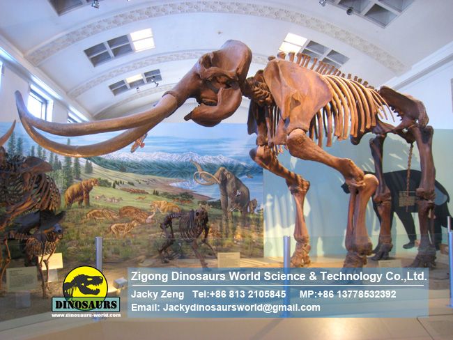 National museum simulation mammoth skeleton DWS028