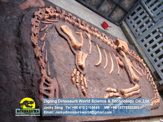 The (Jingshanosaurus) Burial Dinosaurs Fossils Model DWF009