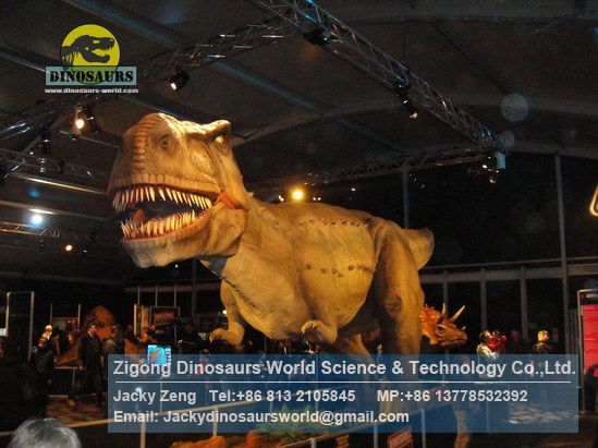 Tyrannosaurus Rex for Dinosaur exhibition Outdoor Playground DWD1337