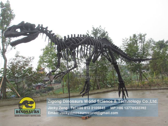 Restored dinosaur skeleton model Allosaurus Skeleton DWS038