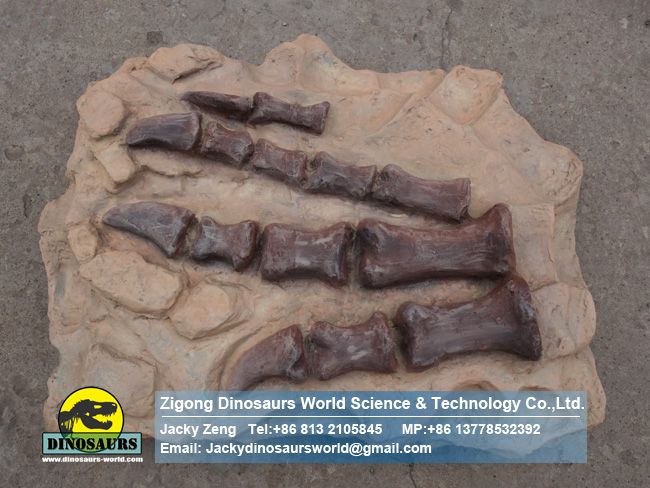 Artificial Plateosaurus claws fossil reproductions ZD02
