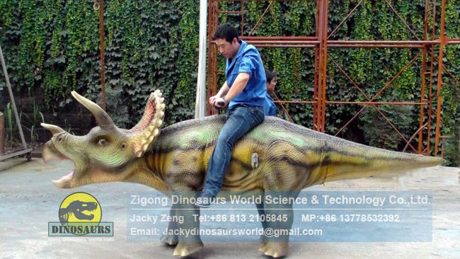 Hot Sale Big Size Walking Dinosaur Triceratops Ride For Kids DWW010