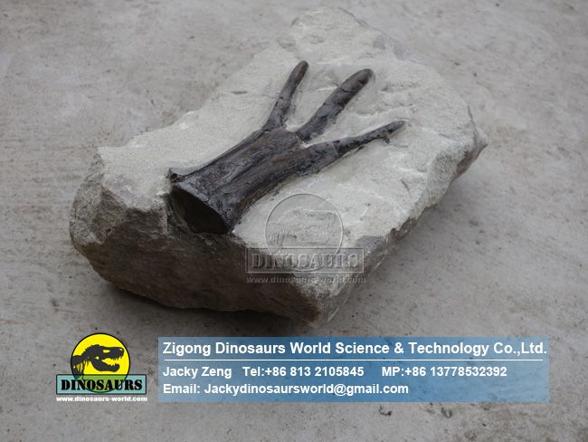 Artificial yandusaurus multidens hind & tones replica ZD16