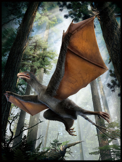 An artist's impression of a dinosaur that may have had batlike wings, based on a recent find of 160-million-year-old fossils. Credit Dinostar Co. Ltd