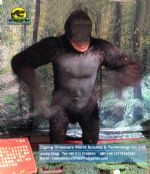 Animatronic animals orangutan/gorilla in exhibition DWA011