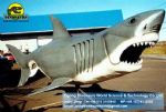 Theme park animals animatronic ( Shark ) DWA023