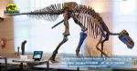 Buried discovery life size fiberglass sculpture Hadrosaurs DWS019