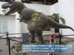 Adventure playground equipment theme games(Tyrannosaurus Rex) DWD145