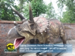 Life Size Dinosaur Replica( Triceratops ) DWD038-2