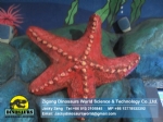 High degree of simulation Marine invertebrates Starfish DWA129