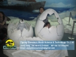 Antarctic emperor penguins Baby penguin,Penguin eggs DWA133